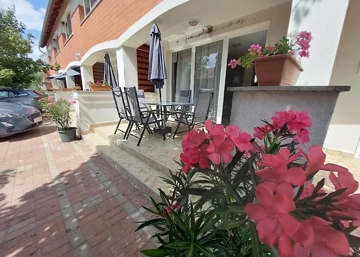 Semiramis Cserkeszőlő